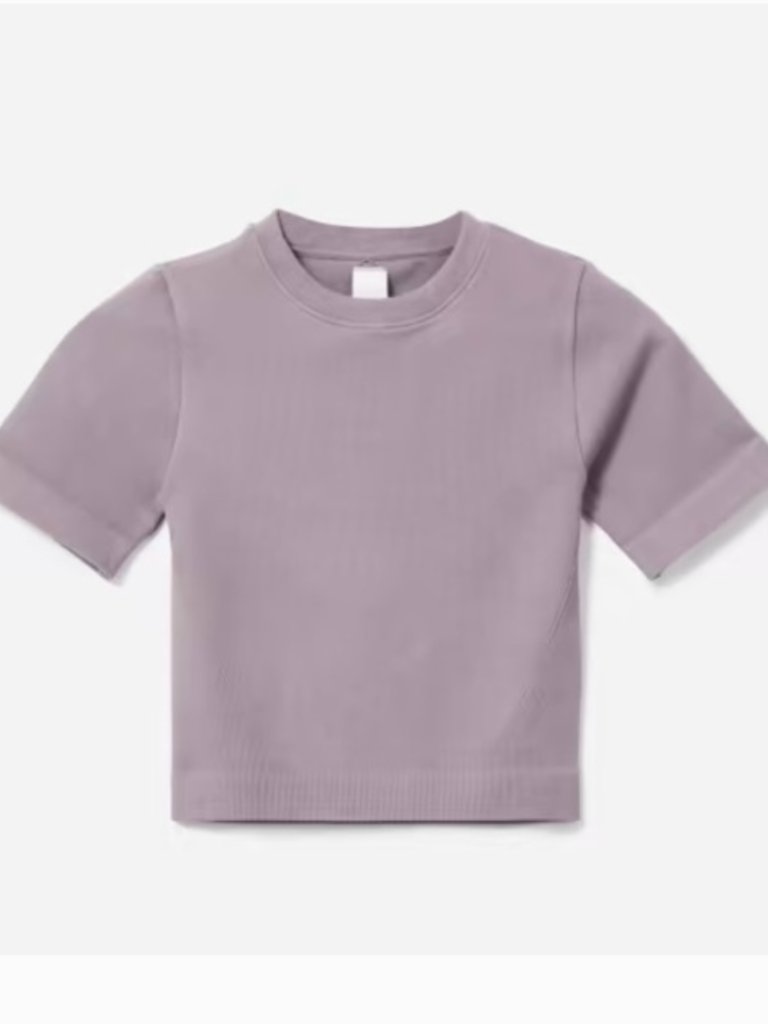 Everlane Seamless Ribbed Cropped Tee Xs Purple Mauve Fitted Top